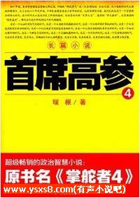 最新官场有声小说，小巷深处的风云录
