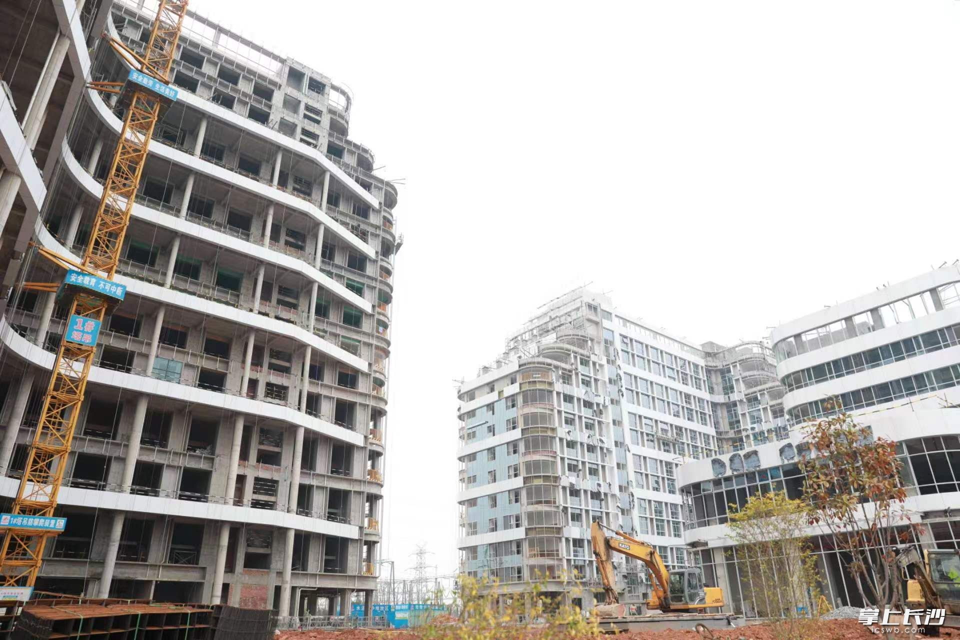 金阳最新住宅项目,金阳最新住宅项目，购房全流程指南