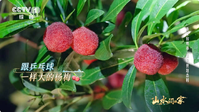 机电设备安装 第37页