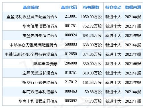 吉电股份股票最新消息,吉电股份股票最新消息，变化中的学习之旅，自信与成就感的源泉