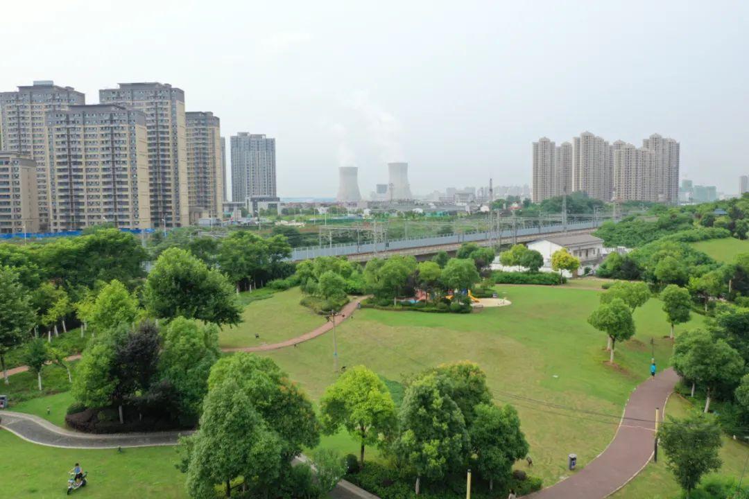 小品最新2025，艺术表达方式的深度探讨与观点阐述