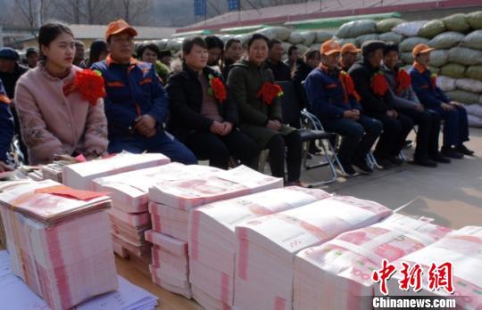 成县最新新闻，拥抱自然，内心宁静之旅启程